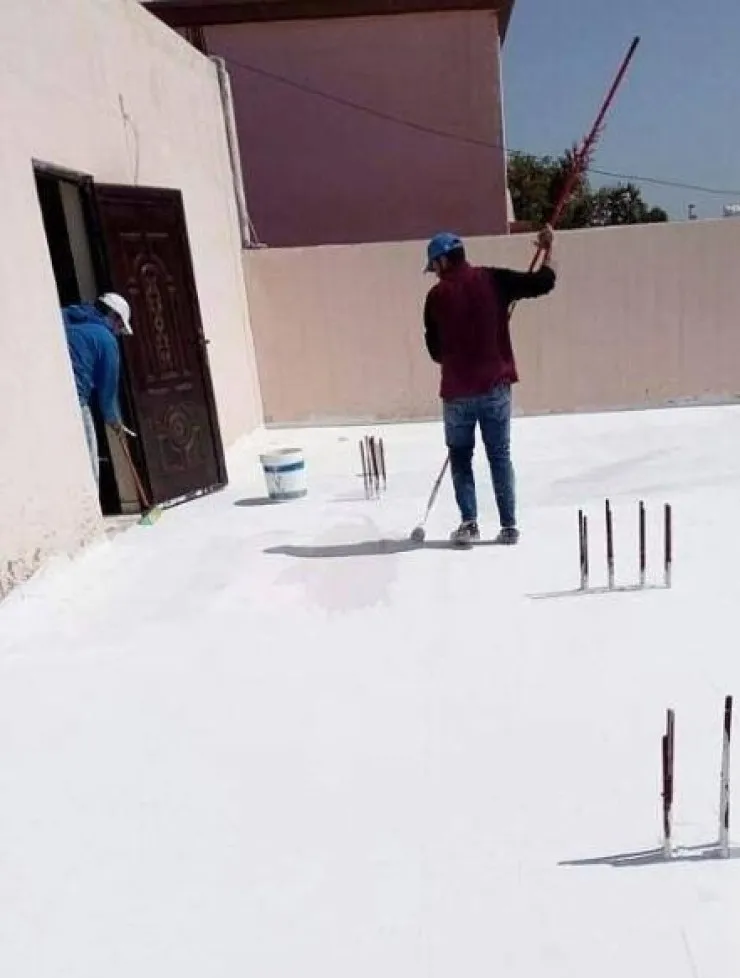 صورة المقال
