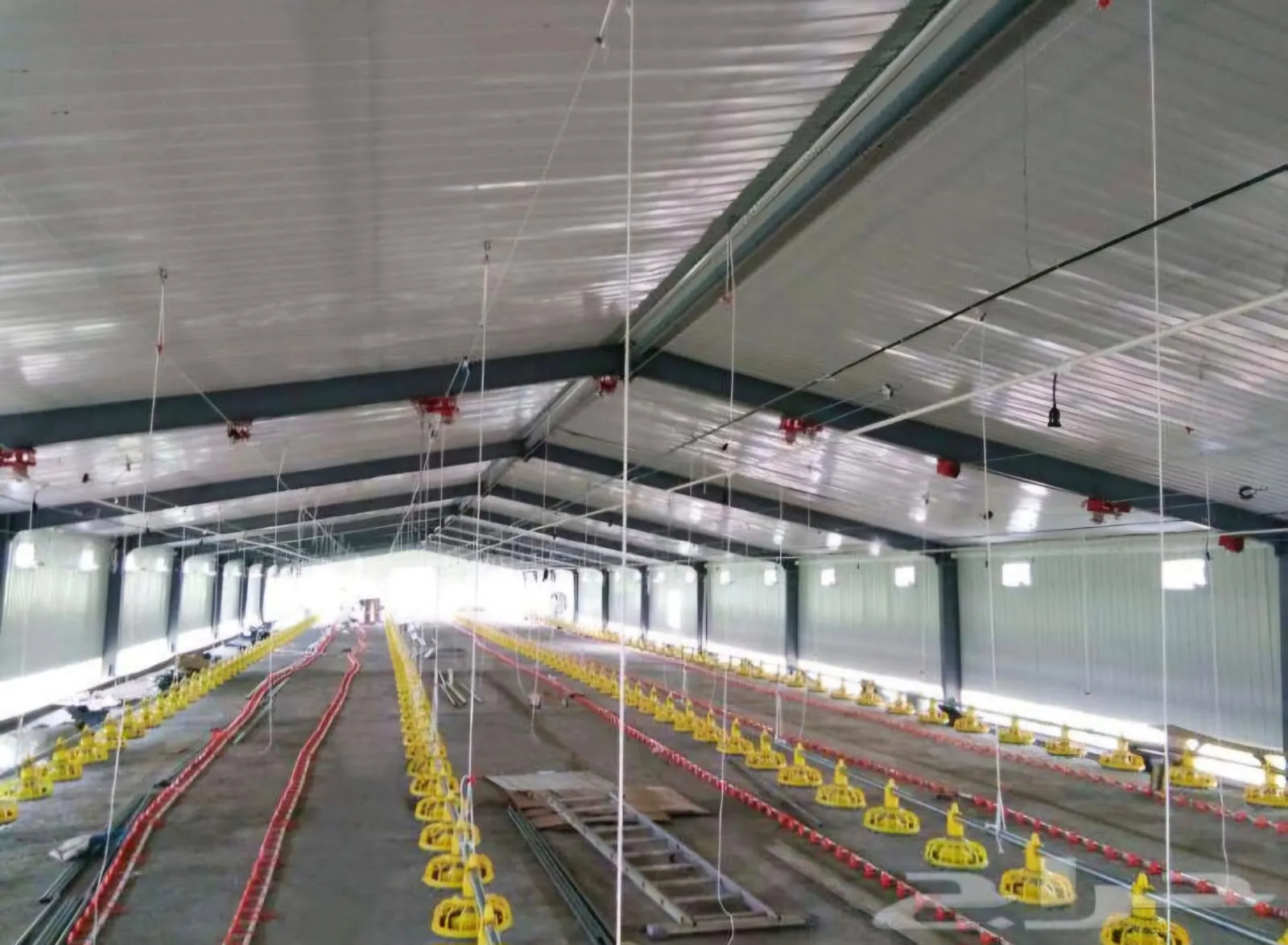 صورة المقال