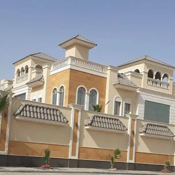 صورة المقال