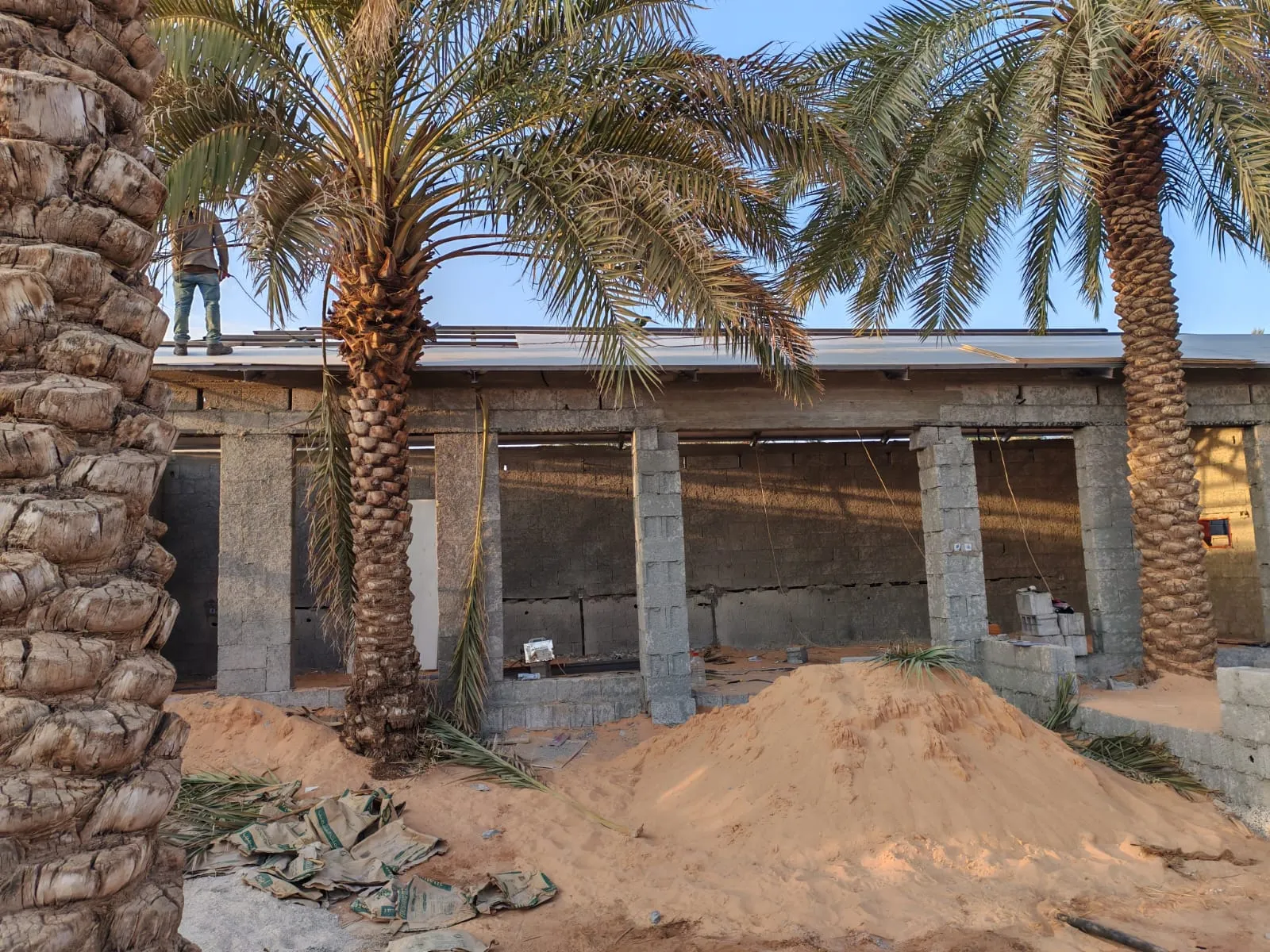 صورة المقال