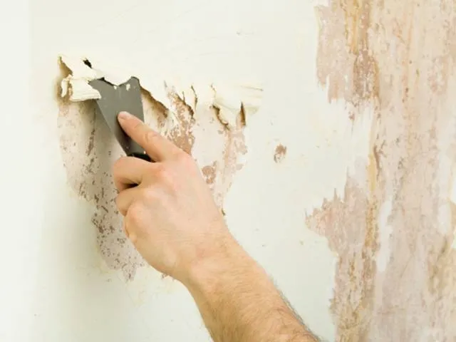 صورة المقال